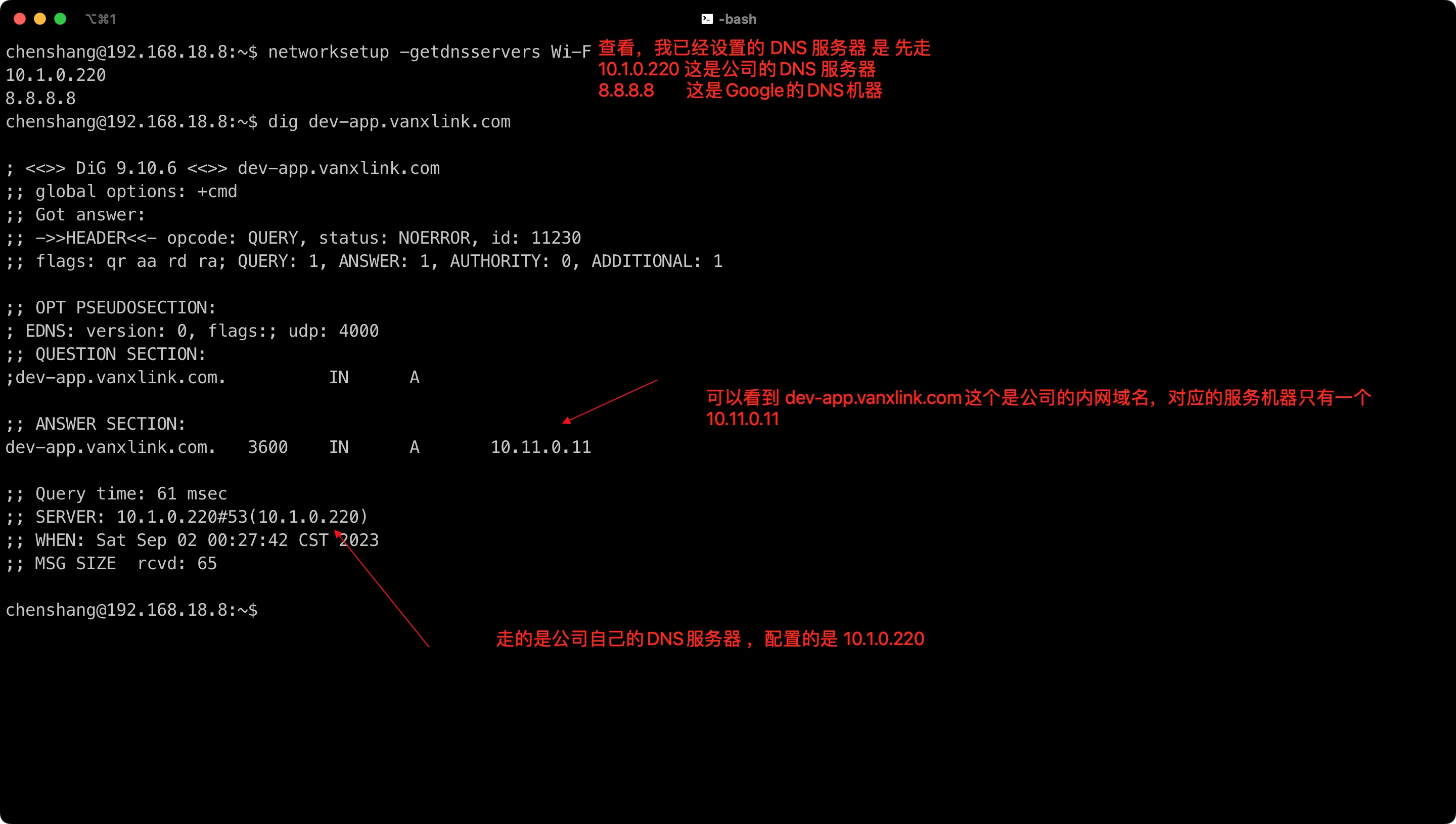 链接vpn走了公司自己设置的DNS服务器